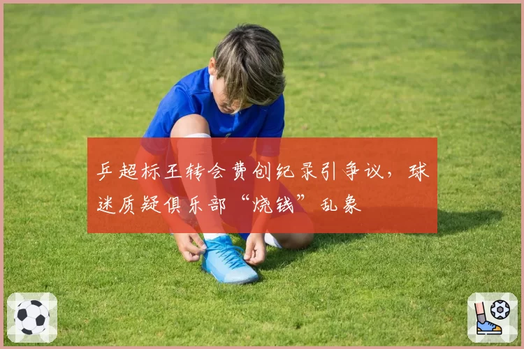 乒超标王转会费创纪录引争议，球迷质疑俱乐部“烧钱”乱象